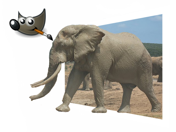 Gimp software
