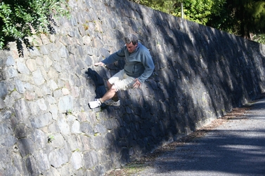 wall_walking (116K)